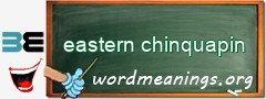 WordMeaning blackboard for eastern chinquapin